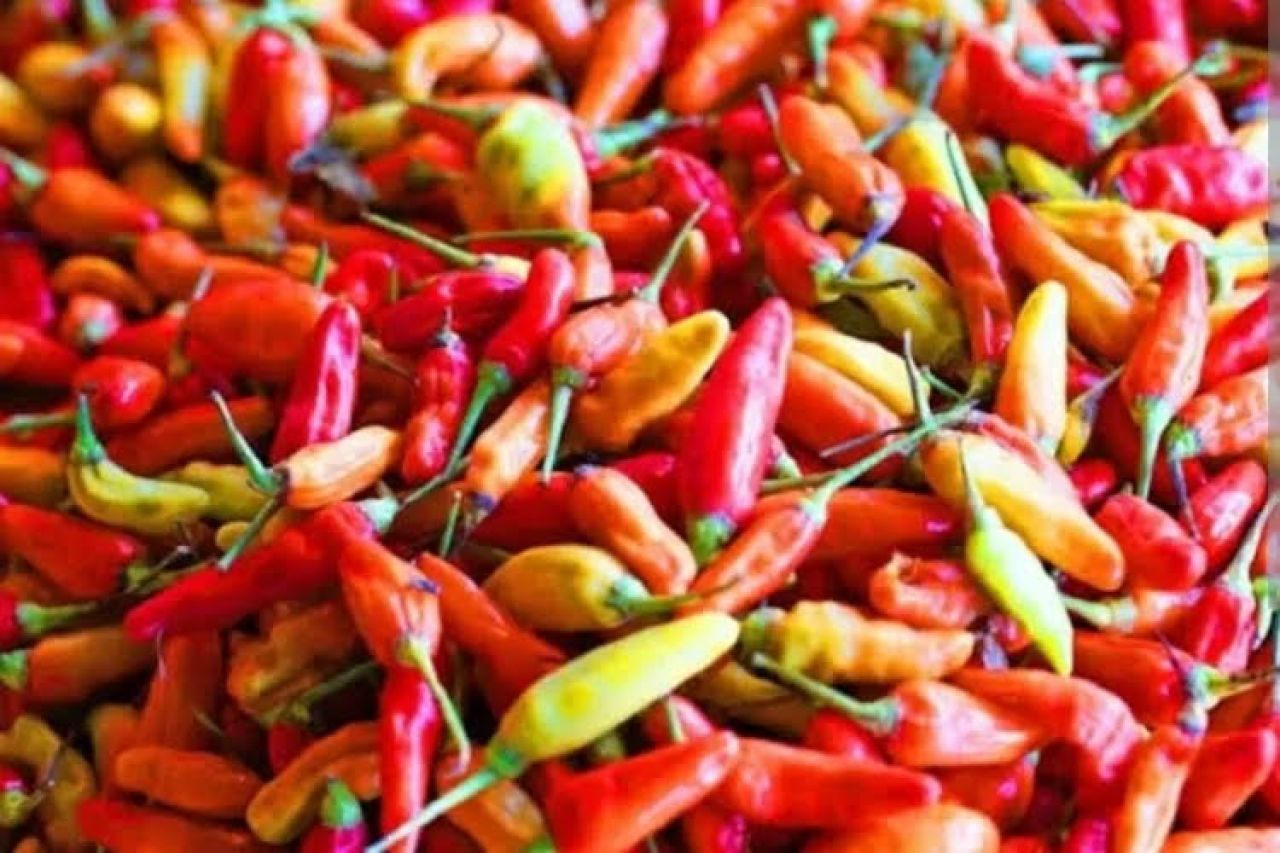 Lebih Mahal dari Tulungagung, Berikut Update Harga Cabe Rawit Merah di Kota Blitar Hari Ini