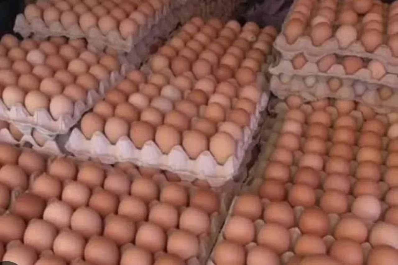 Paling Mahal se-Jatim, Segini Harga Telur Ayam Ras di Kota Blitar Perkilogramnya