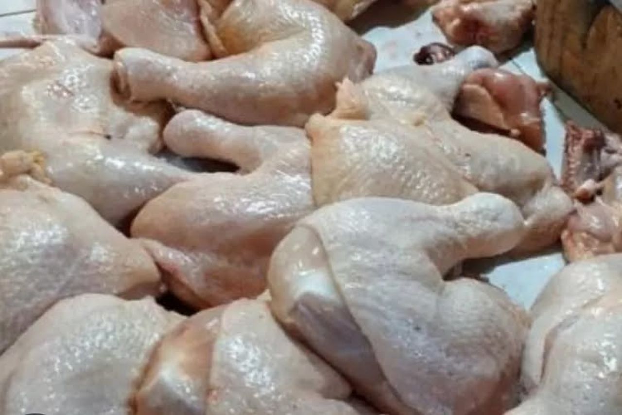Harga Daging Ayam Ras di Kota Blitar Alami Penurunan, Segini Perkilogramnya