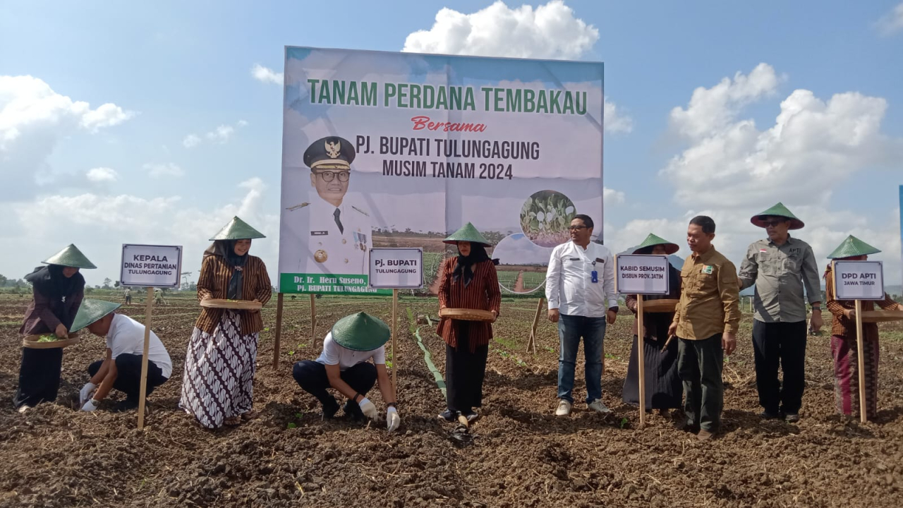 Pj Bupati Tulungagung Lakukan Tanam Perdana Tembakau