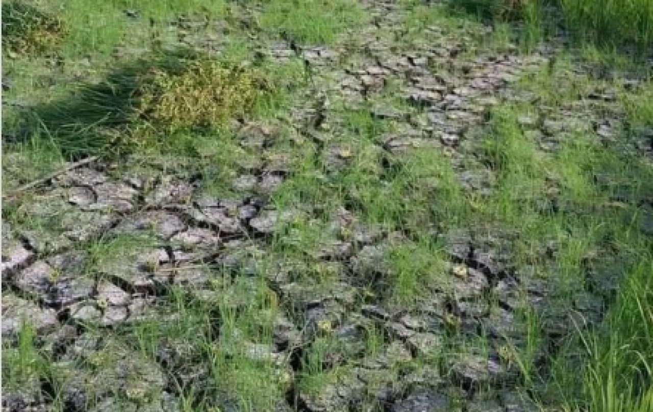 Hadapi Kemarau, Teknologi Modifikasi Cuaca Dukung Program Ketahanan Pangan