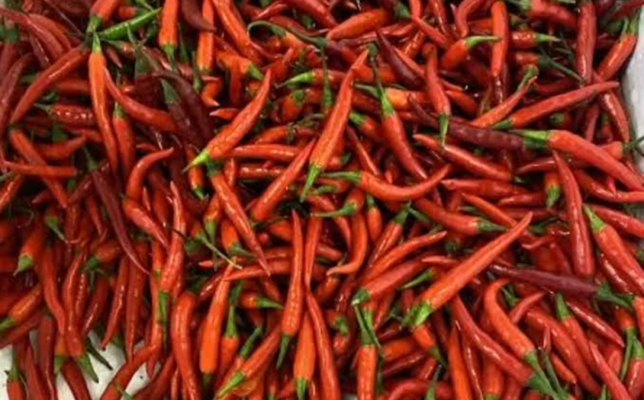 Harga Cabe Merah Besar di Kota Blitar Hari Ini Lebih Mahal dari Kota Surabaya