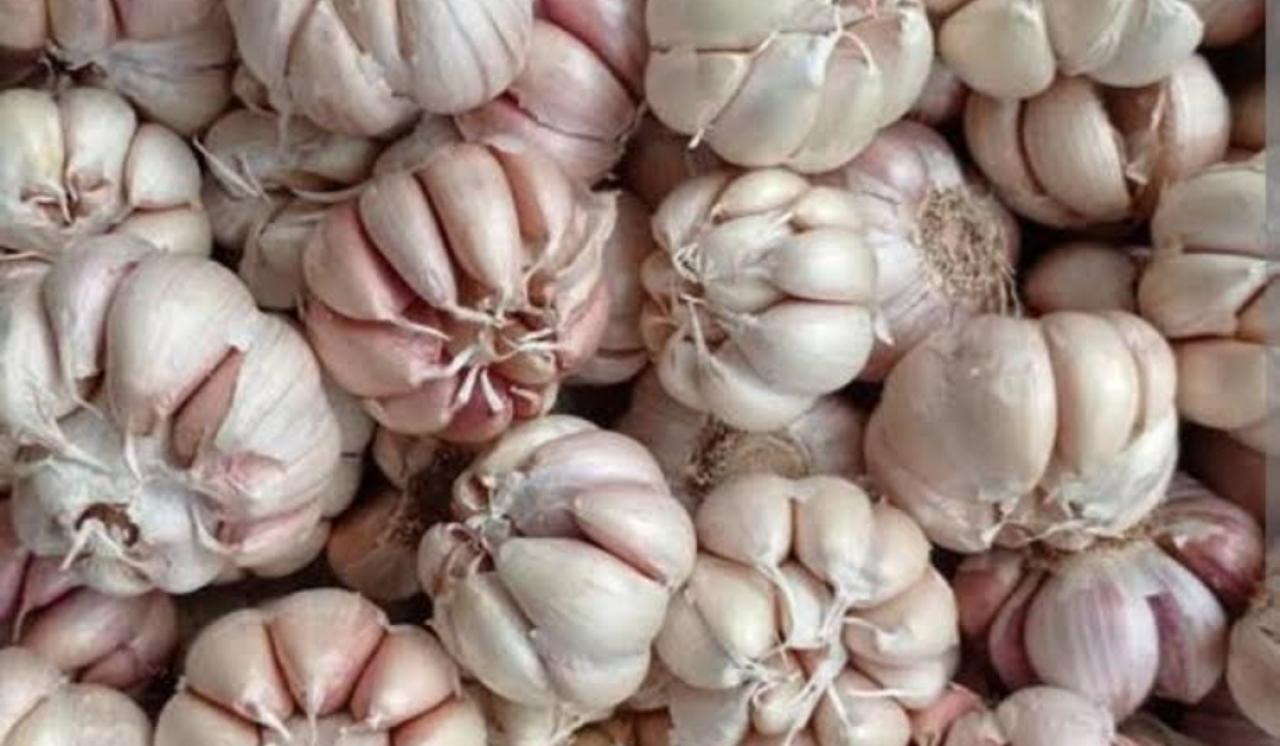 Harga Bawang Putih di Kota Blitar Turun, Kini Menjadi Rp36.000/Kg