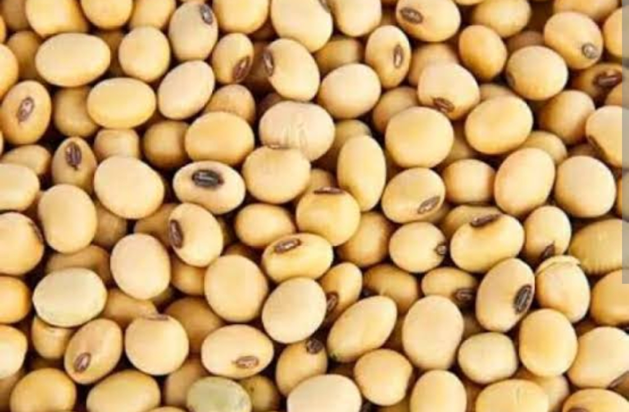 Masuk Peringkat 3 Paling Mahal se-Jatim, Berikut Harga Kacang Kedelai Lokal di Kota Blitar Hari Ini