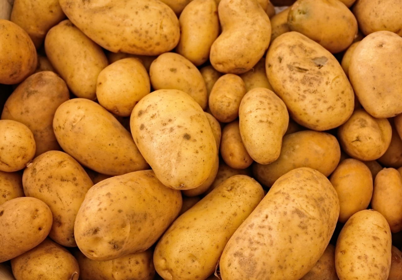 Segini Selisih Harga Kentang di Kabupaten dan Kota Blitar Perkilogramnya