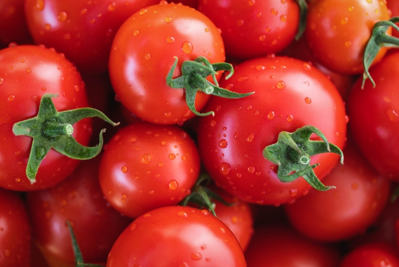 Selisih 500 Rupiah dengan Kota Pasuruan, Segini Harga Tomat di Kota Blitar Hari Ini