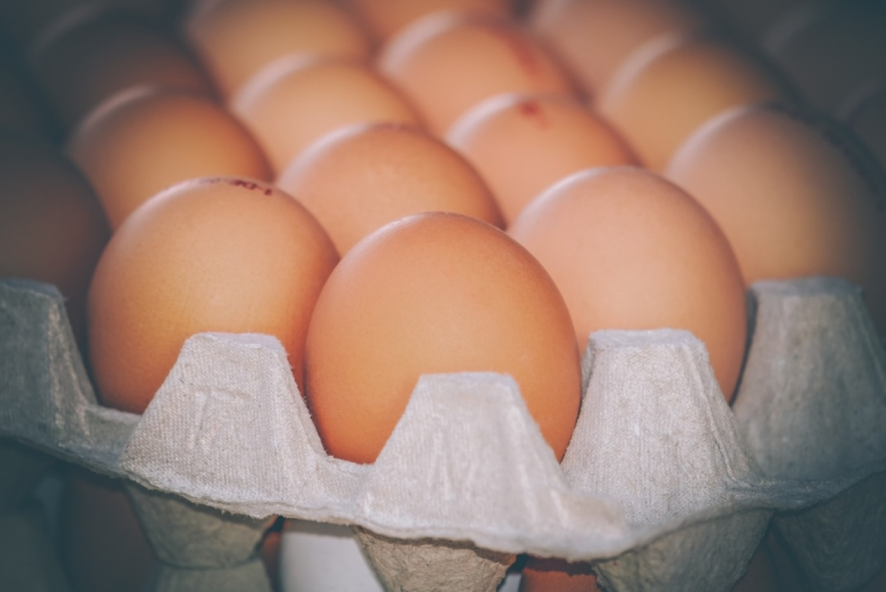 Lebih Mahal dari Kota Madiun, Segini Harga Telur Ayam Ras di Kota Blitar Hari Ini