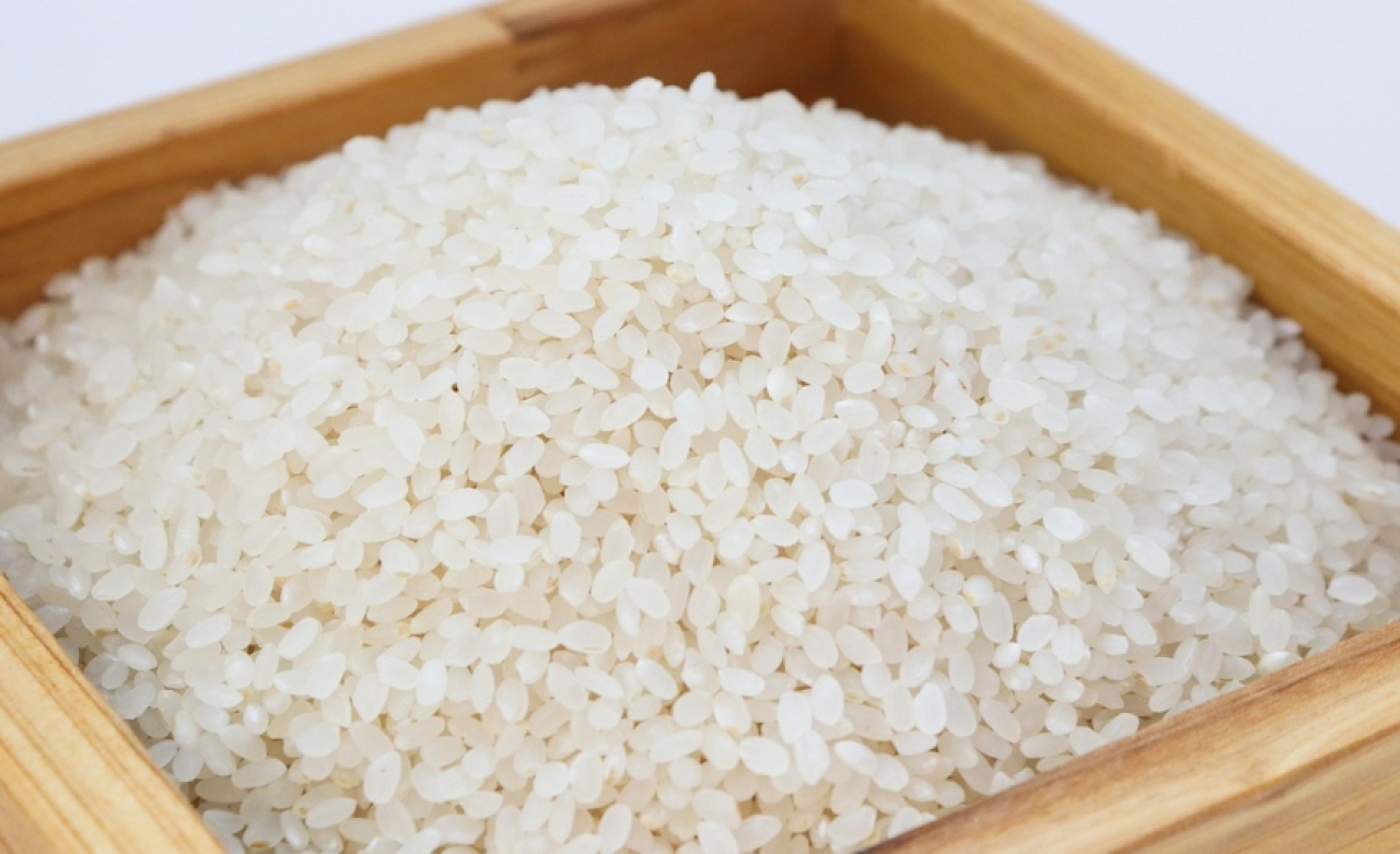 Selisih Tipis dengan Tulungagung, Berikut Update Harga Beras Premium di Kota Blitar Hari Ini