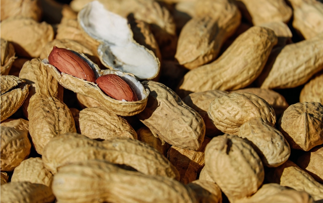 Paling Mahal Se-Jawa Timur, Berikut Update Harga Kacang Tanah di Kota Blitar Hari Ini