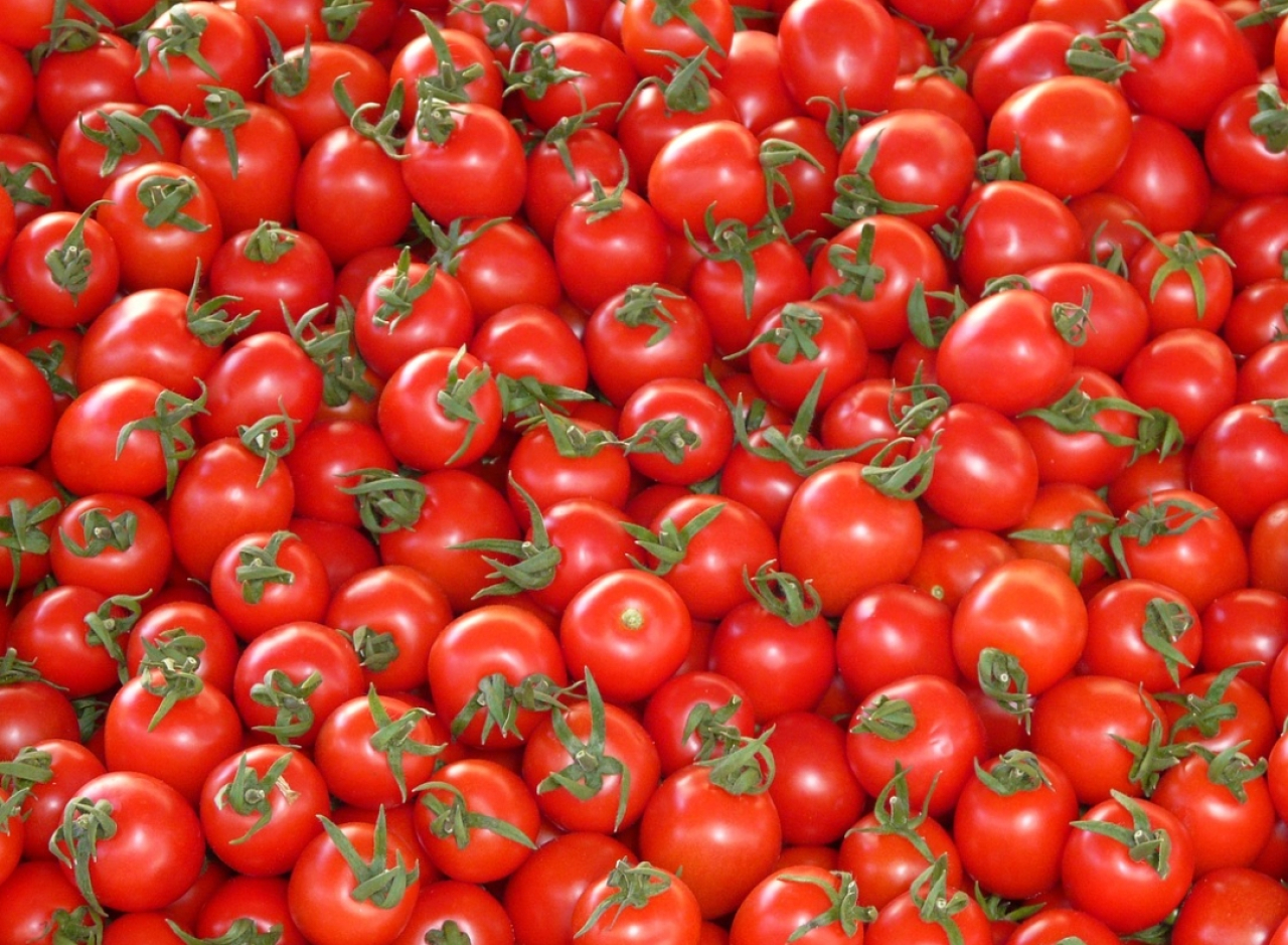 Lebih Murah dari Tulungagung, Segini Harga Tomat di Kota Blitar Hari Ini