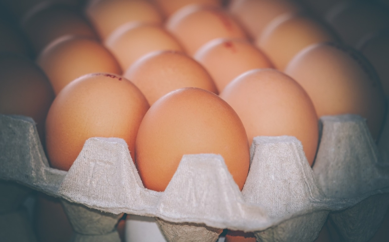 Selisih Tipis dengan Tulungagung, Segini Harga Telur Ayam Ras di Kota Blitar Hari Ini