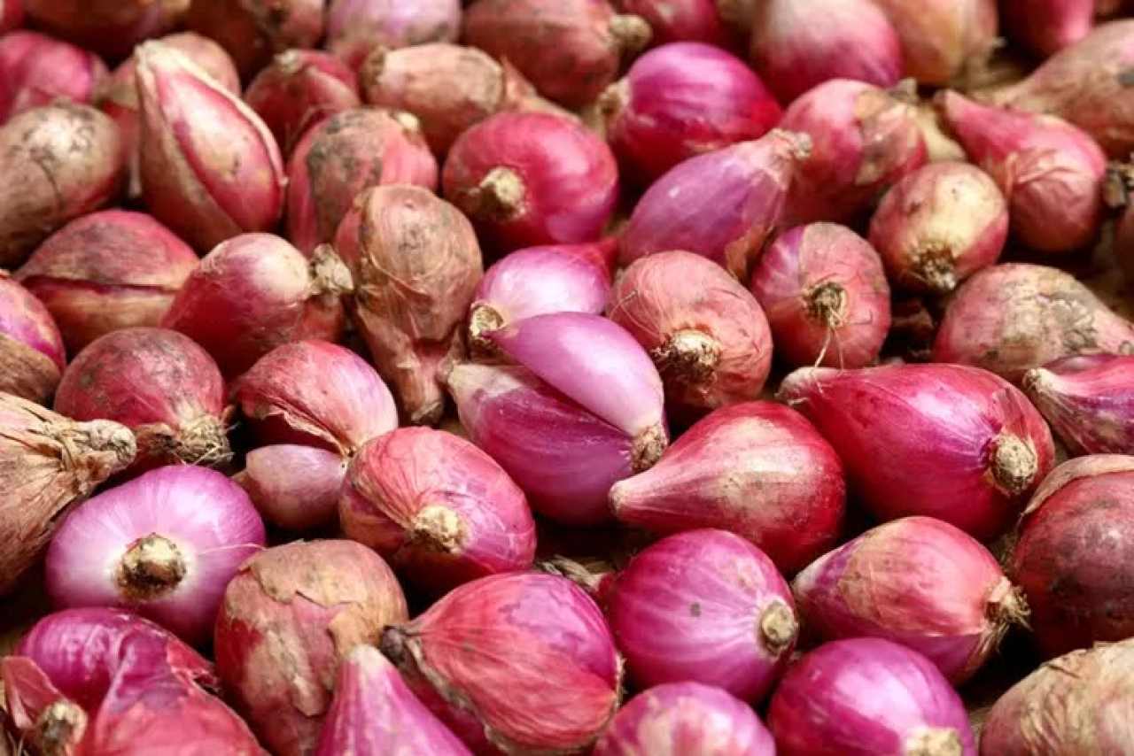Harga Bawang Merah di Kota Blitar Merangkak Naik, Segini Perkilogramnya
