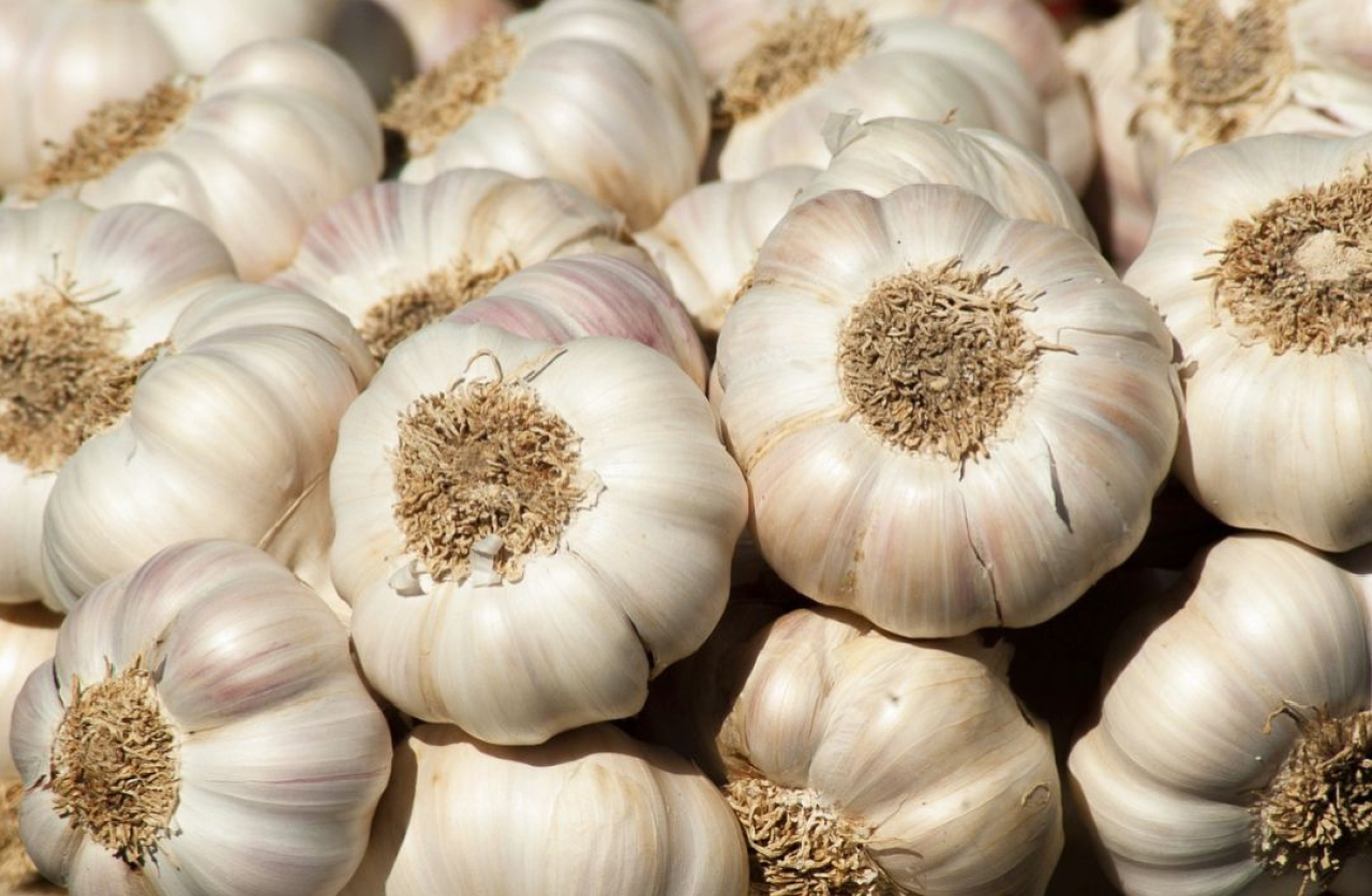 Harga Bawang Putih di Kota Blitar Hari Ini Merangkak Naik, Segini Perkilogramnya