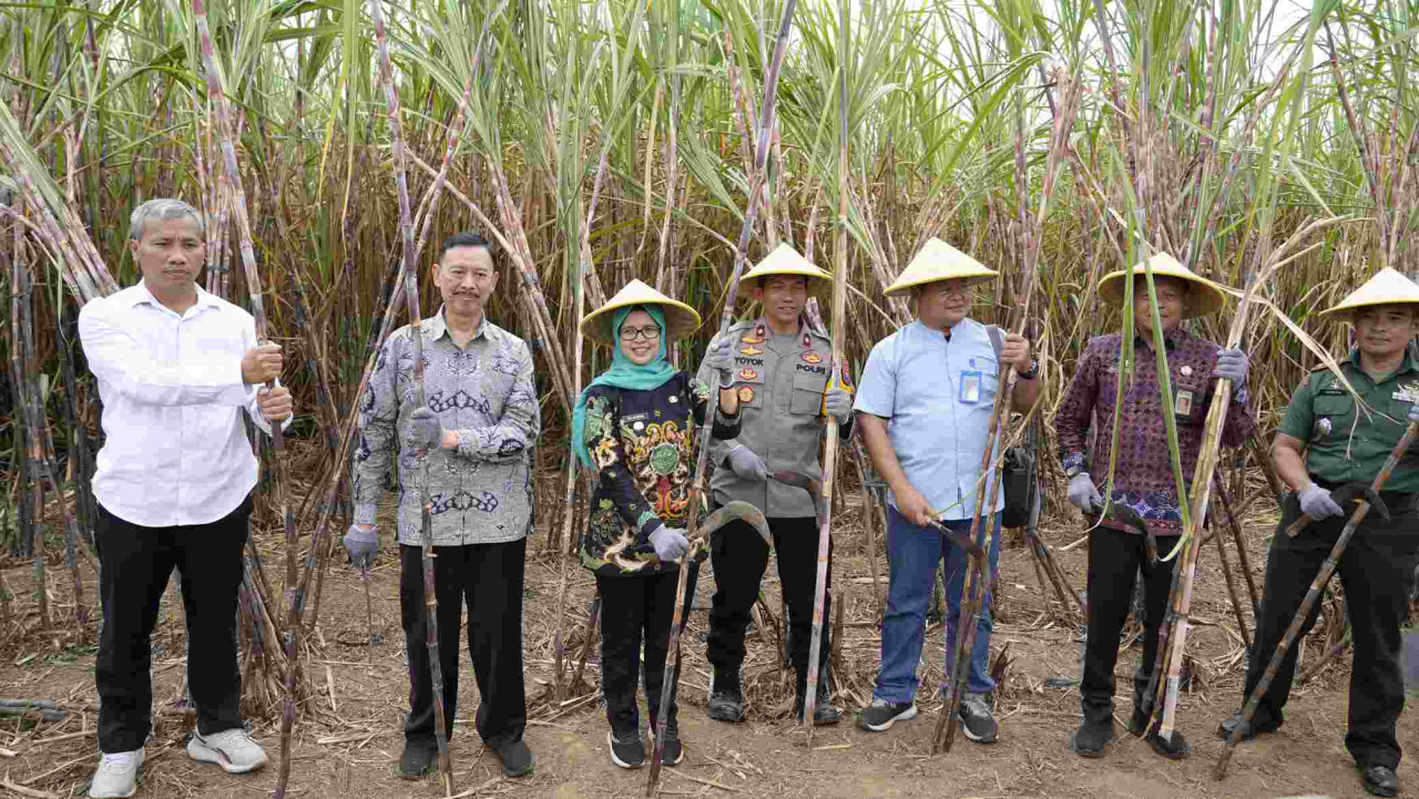 Hadiri Panen Raya Tebang Tebu di Desa Ngembul, Bupati Blitar Apresiasi Kerja Keras Para Petani