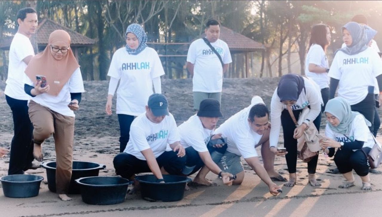 Pegadaian Kanwil XII Surabaya Beri Bantuan Tempat Penetasan Telur Penyu di Pantai Taman Kili-Kili