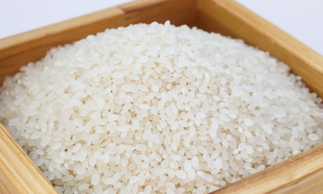 Kompak dengan Situbondo, Berikut Harga Beras Premium di Kota Blitar Hari Ini