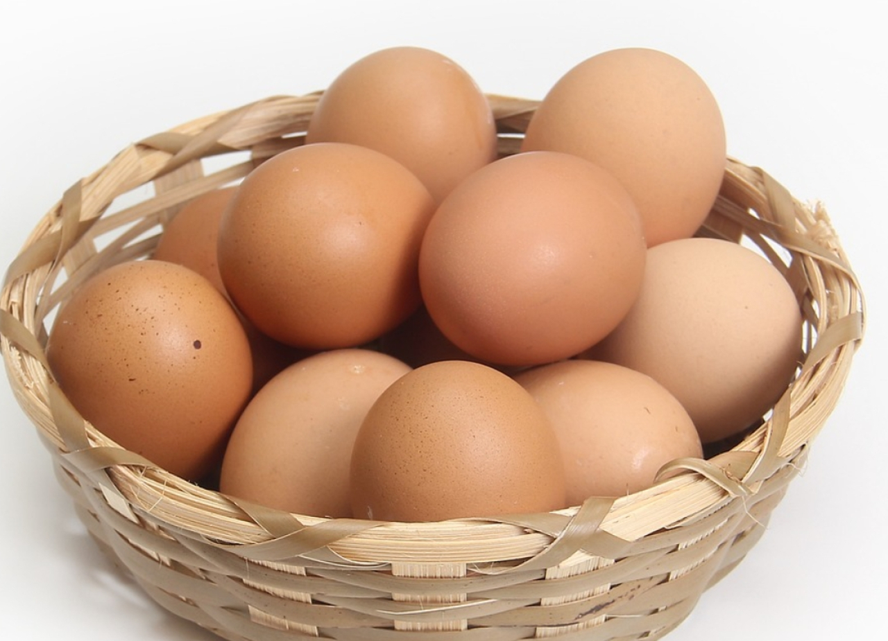 Selisih Lumayan dengan Trenggalek, Cek Yuk Harga Telur Ayam Ras di Kota Blitar Hari Ini