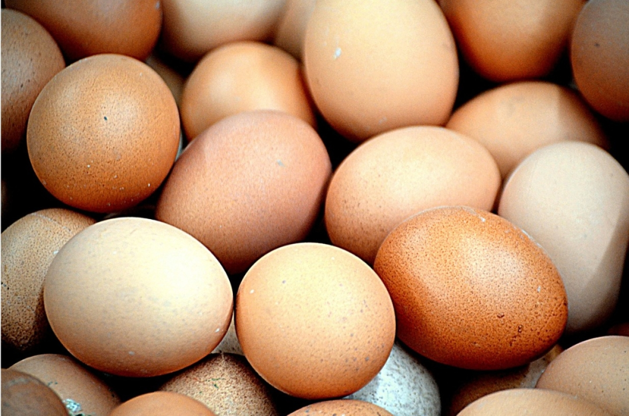 Lebih Mahal dari Tulungagung, Intip Yuk Harga Telur Ayam Ras di Kota Blitar Hari Ini