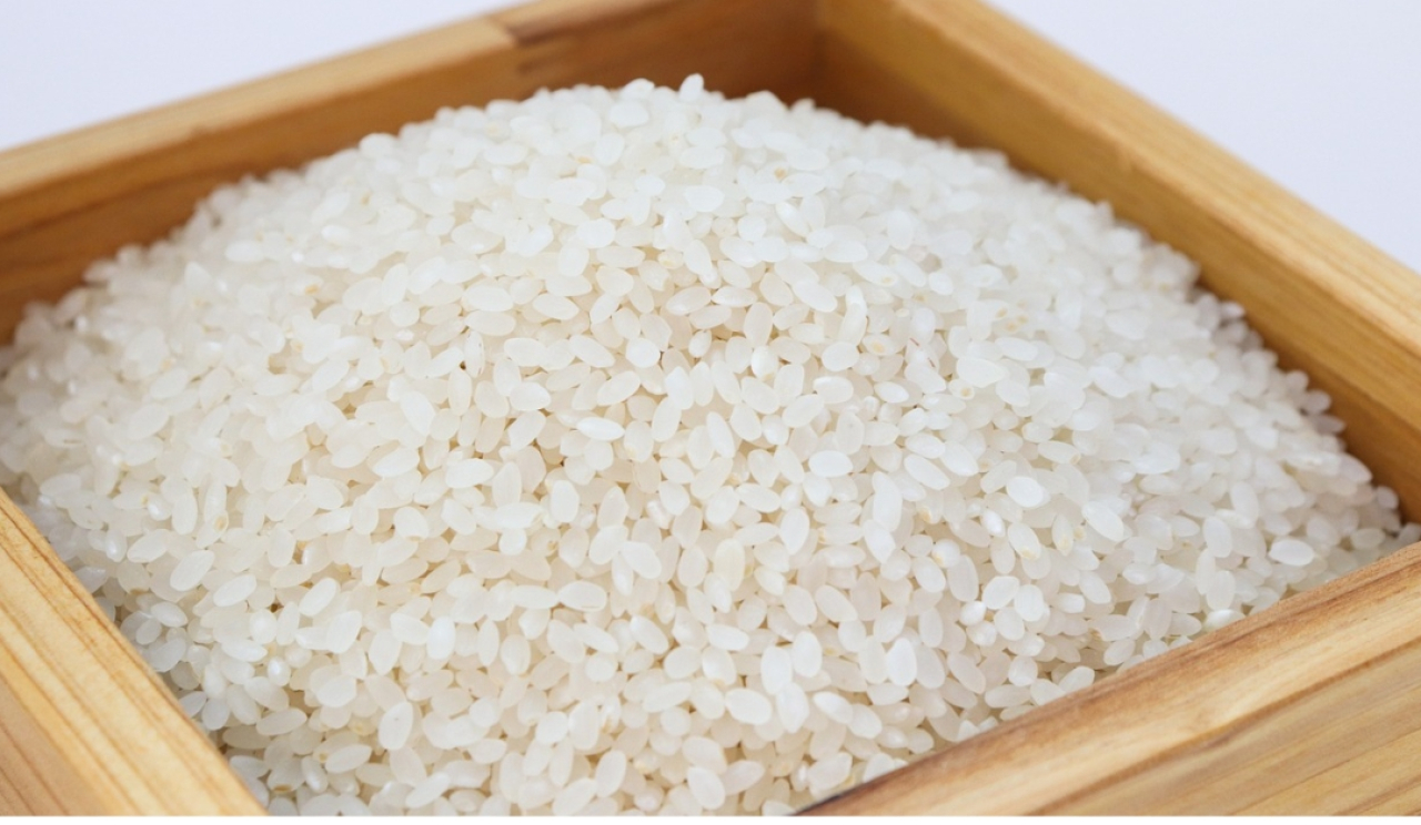 Tertinggi Tembus Rp13.000, Berikut Update Harga Beras Medium di Kota Blitar Hari Ini