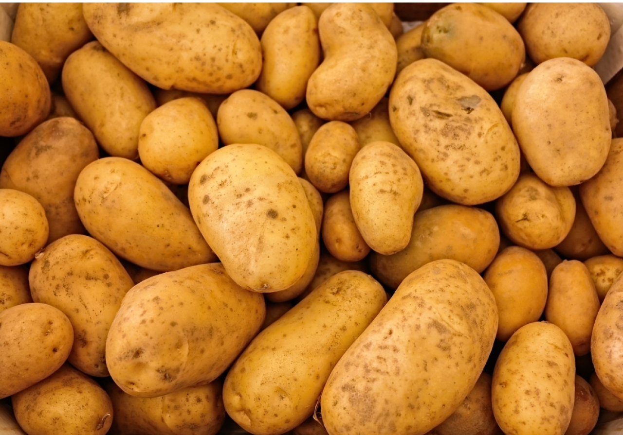 Harga Kentang di Kota Blitar Hari Ini Lebih Mahal dari Kediri, Tulungagung dan Trenggalek, Segini Perkilogramnya