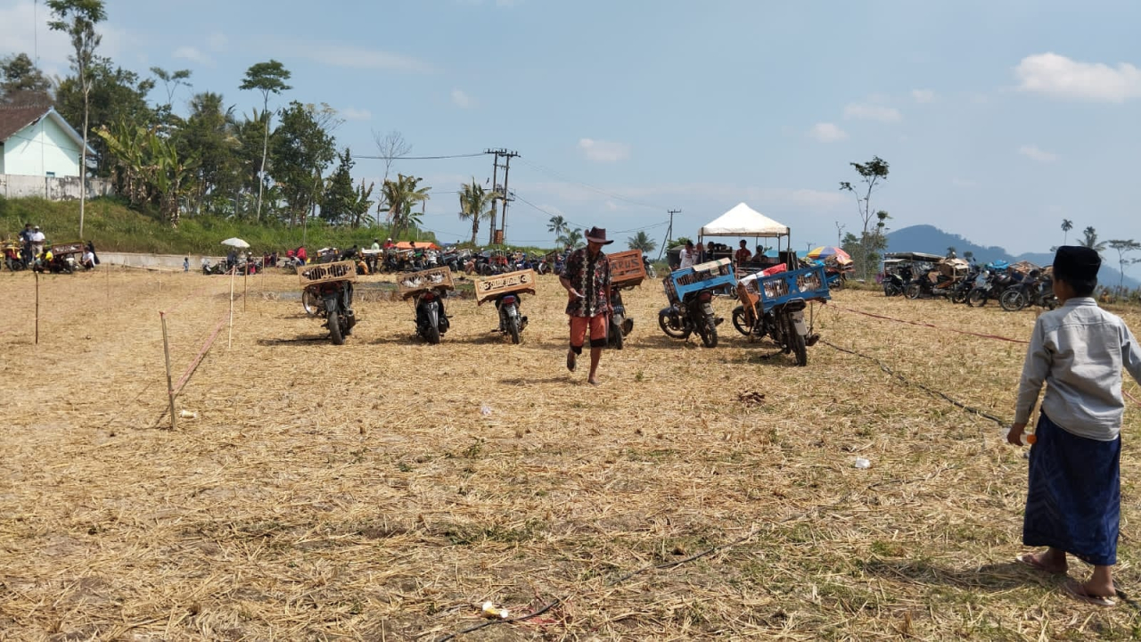 Desa Brambang Darussalam Tlogosari Bondowoso Peringati Selamatan Desa dengan Tradisi Tottaan Merpati