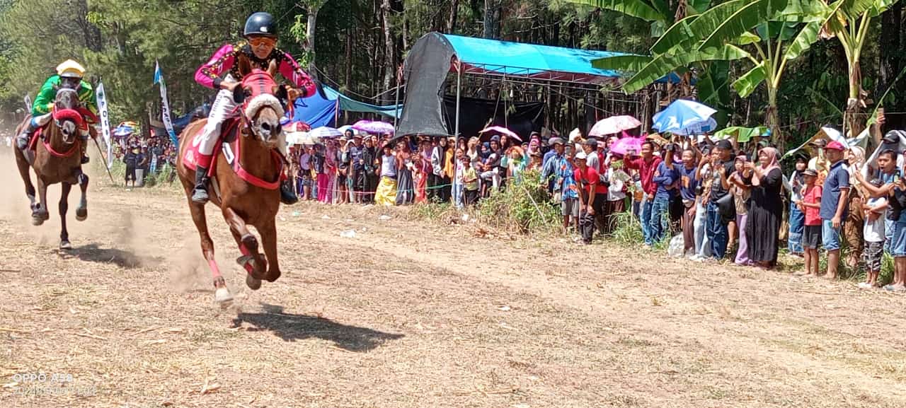 Pordasi Kabupaten Bondowoso Gelar Pacuan Kuda Bupati Cup IV