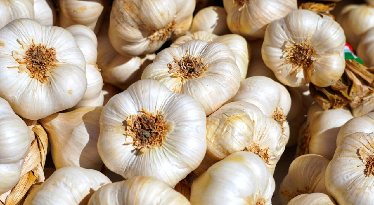 Harga Bawang Putih di Kota Blitar Hari Ini Kompak dengan Kabupaten Pasuruan, Segini Perkilogramnya