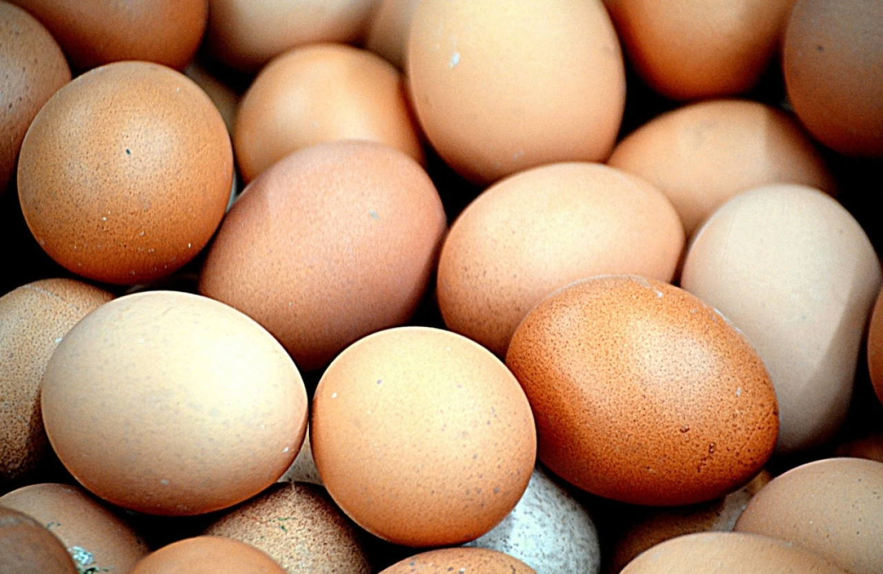 Kompak dengan 7 Daerah di Jawa Timur, Cek Yuk Harga Telur Ayam Ras di Kota Blitar Hari Ini