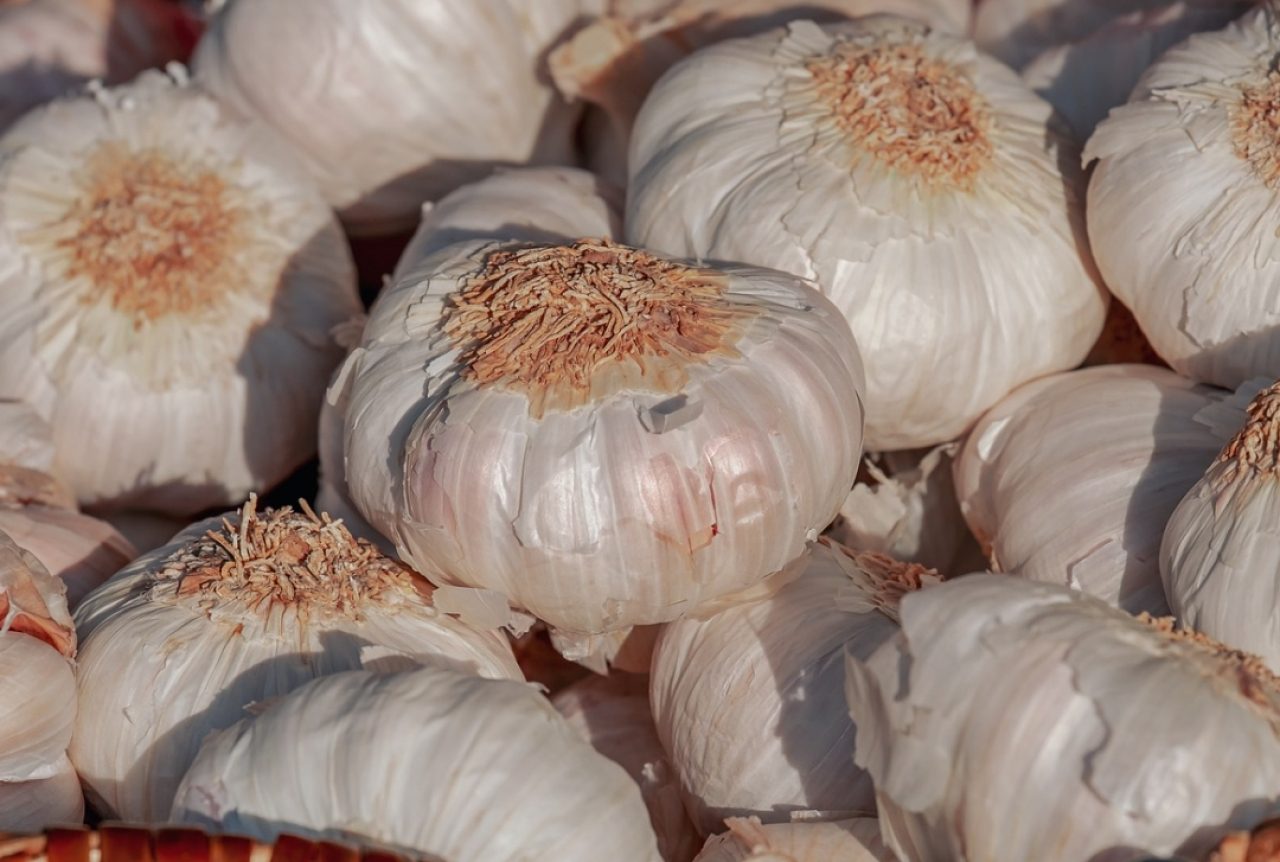 Lebih Mahal dari Kediri, Tulungagung dan Trenggalek, Segini Harga Bawang Putih di Kota Blitar Hari Ini