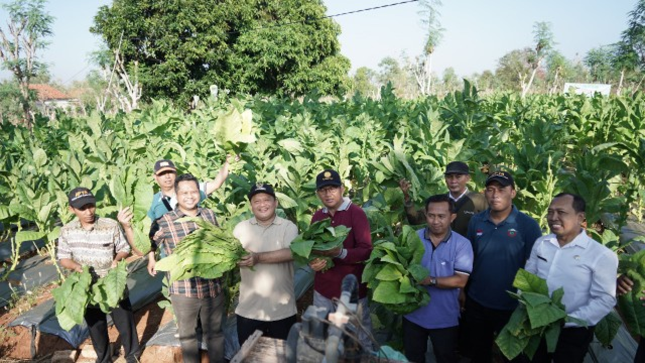 Pj Bupati Sampang Rudi Arifiyanto: Tembakau Sampang Siap Dongkrak Ekonomi Lokal