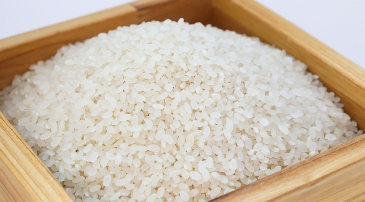 Harga Beras Premium di Kota Blitar Hari Ini: Sedikit di Atas Rata-rata Jawa Timur