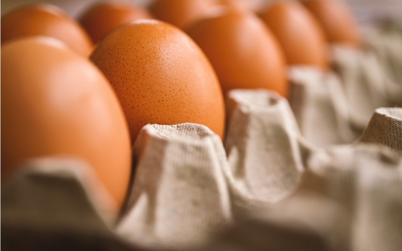 Harga Telur Ayam Ras di Kota Blitar Stabil di Rp25.000, Terendah di Ponorogo dan Jombang