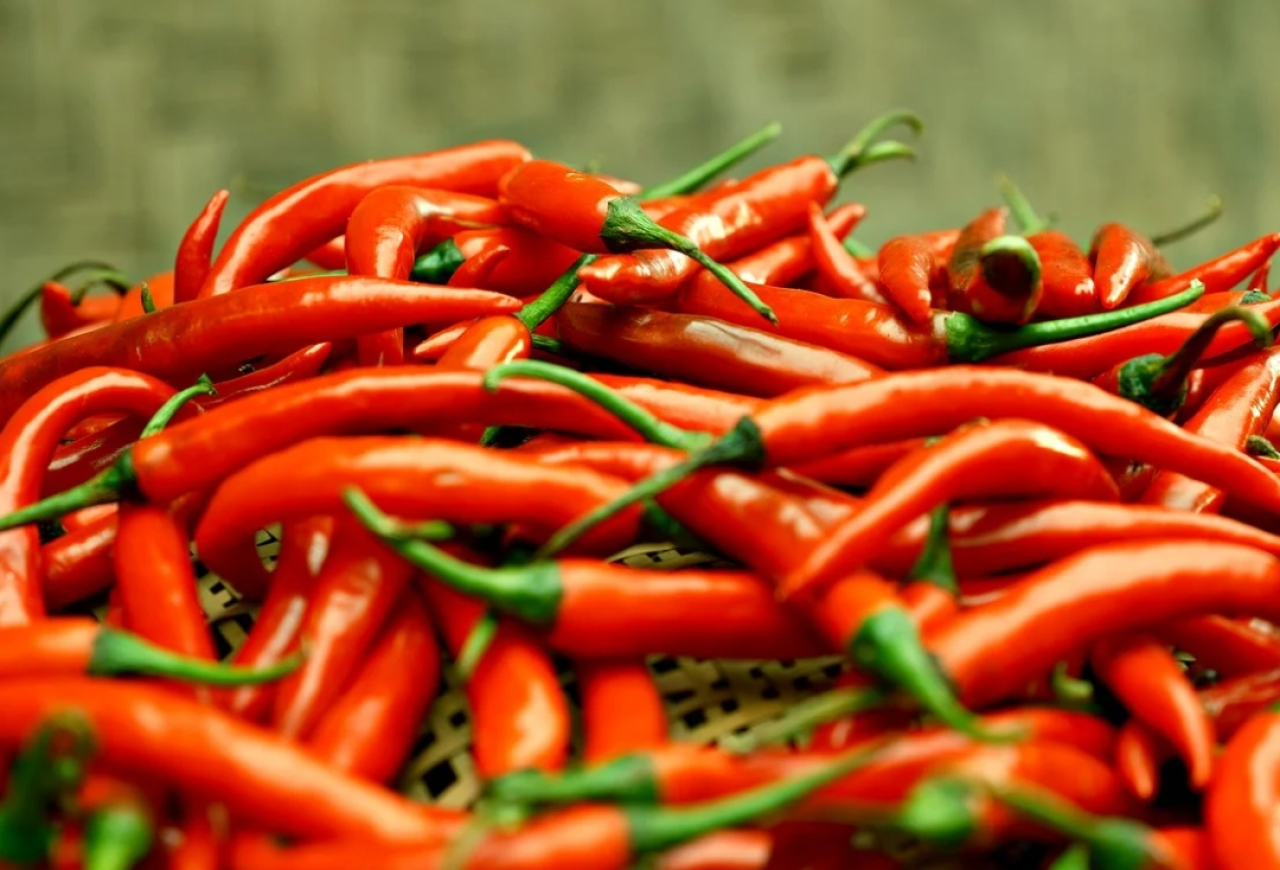 Kota Blitar Catat Harga Cabai Merah Terendah di Jawa Timur, Hanya Segini