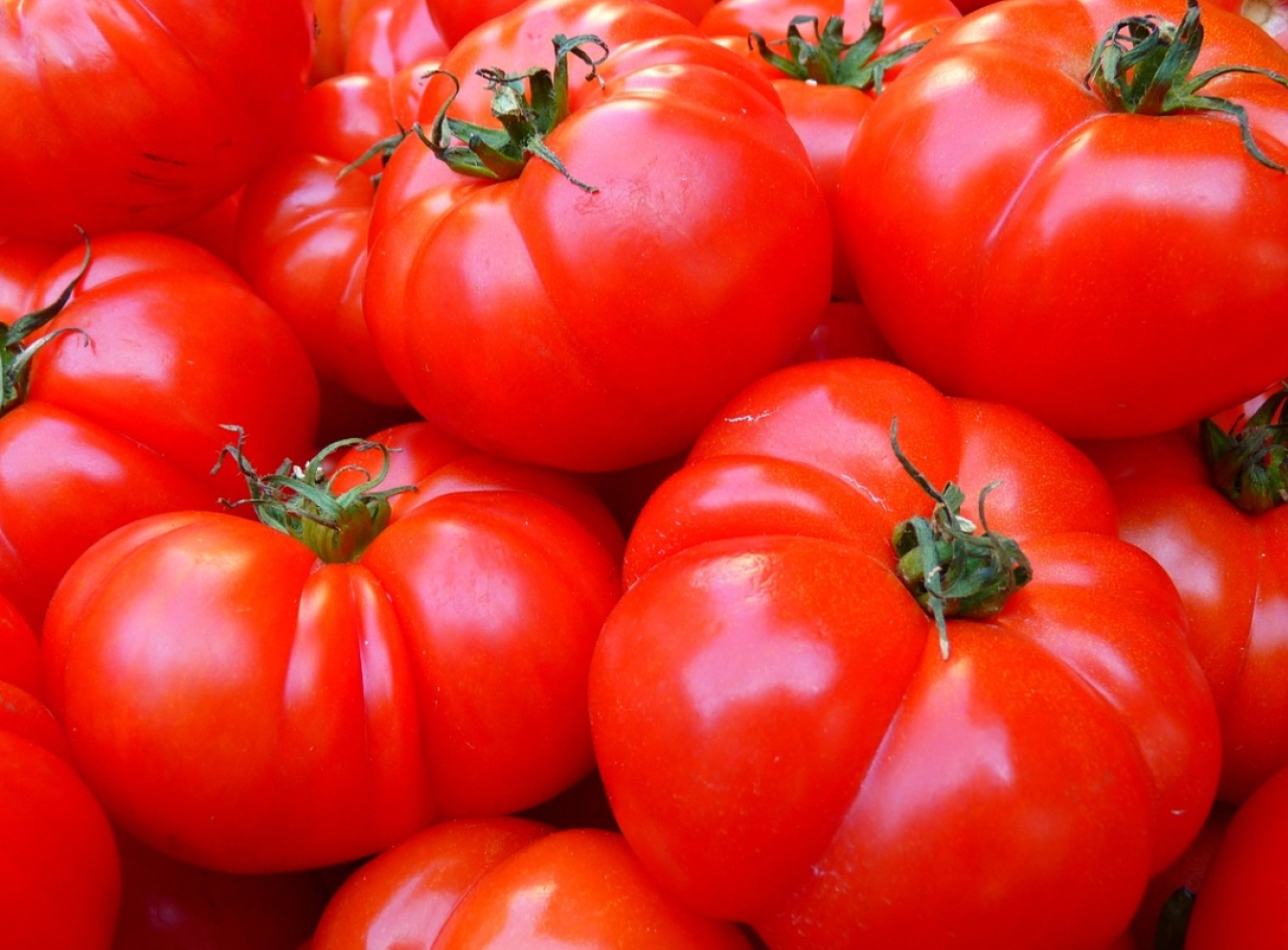 Harga Tomat Melejit di Gresik, Stabil di Blitar: Pantauan Harga 26 September 2024