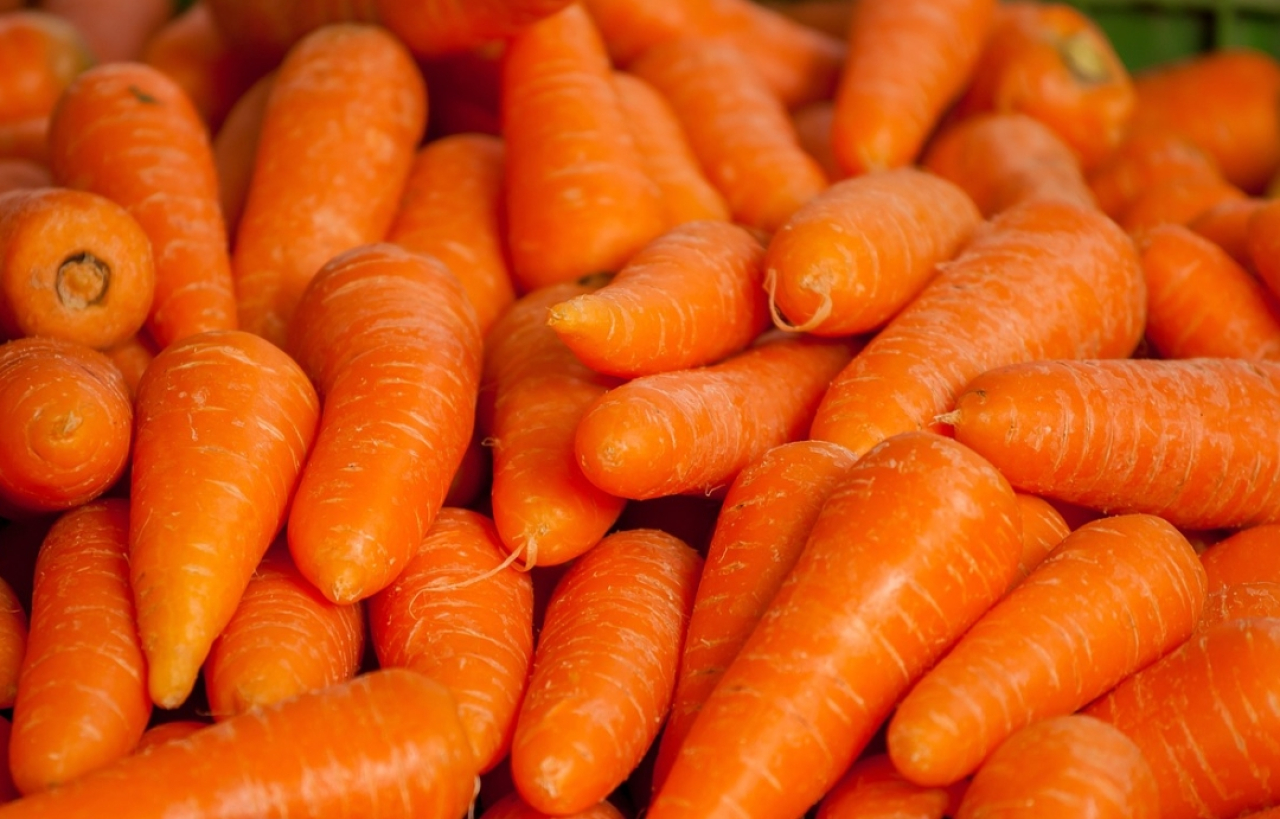 Harga Wortel di Kota Blitar Stabil, Mendekati Rata-rata Jawa Timur