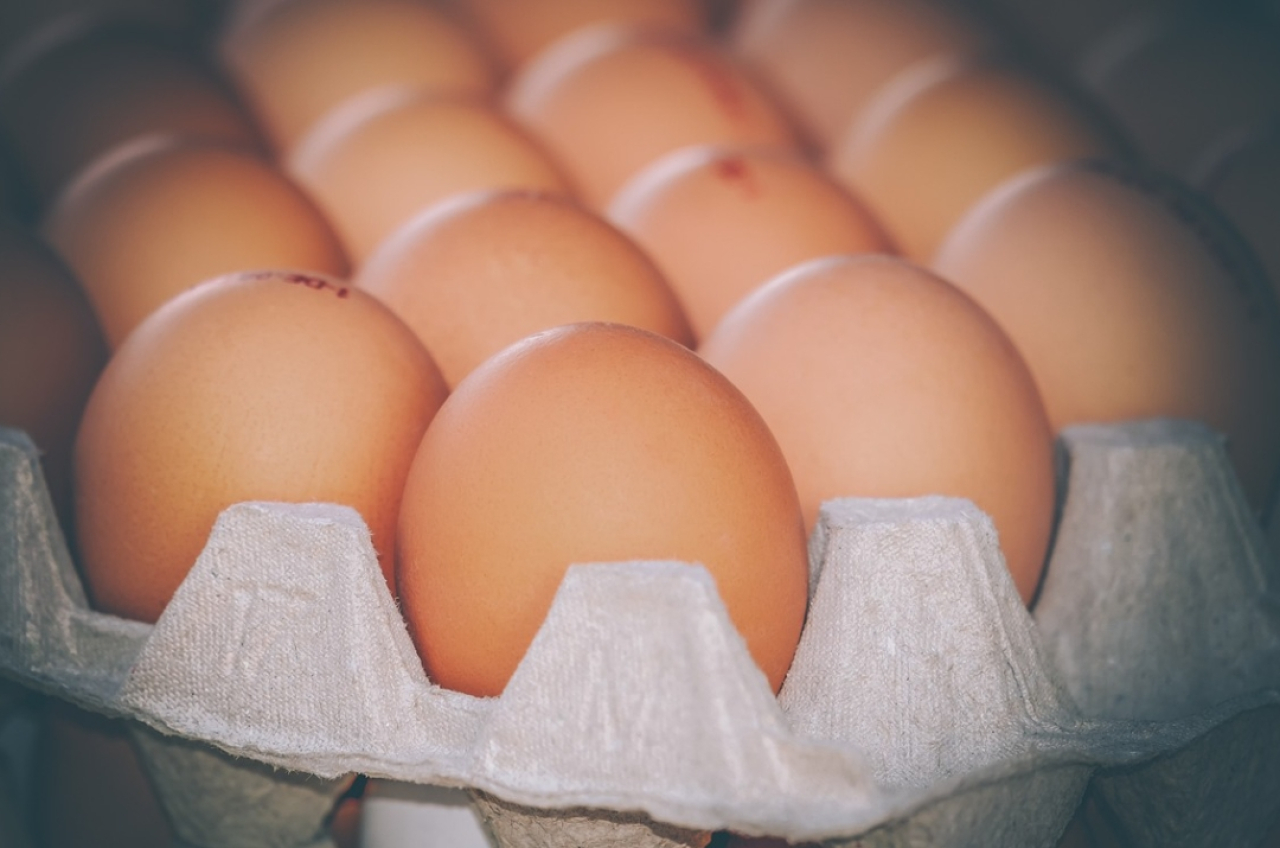 Harga Telur Ayam Ras di Kota Blitar Capai Rp25.500 per Kilogram, Lebih Rendah dari Rata-Rata Jawa Timur