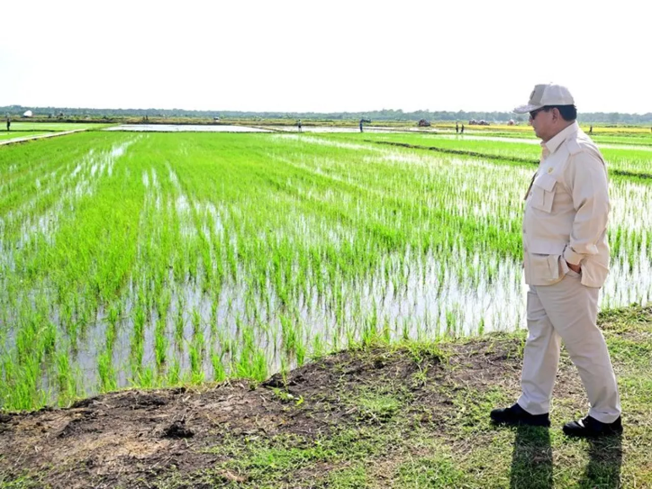 Presiden Prabowo Berharap Semua Desa Menciptakan Lumbung Pangan