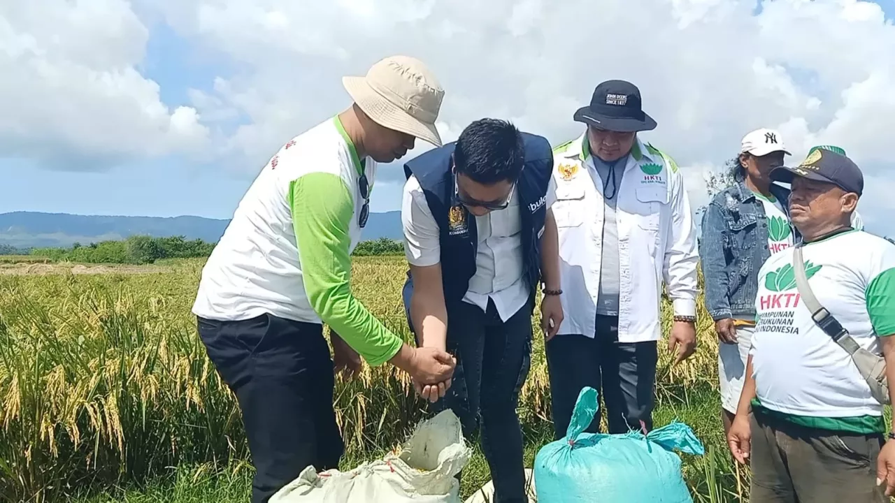 Bulog Jember Bersinergi dengan TNI dan Dinas Pertanian Beli Padi Petani di Dukuhdempok
