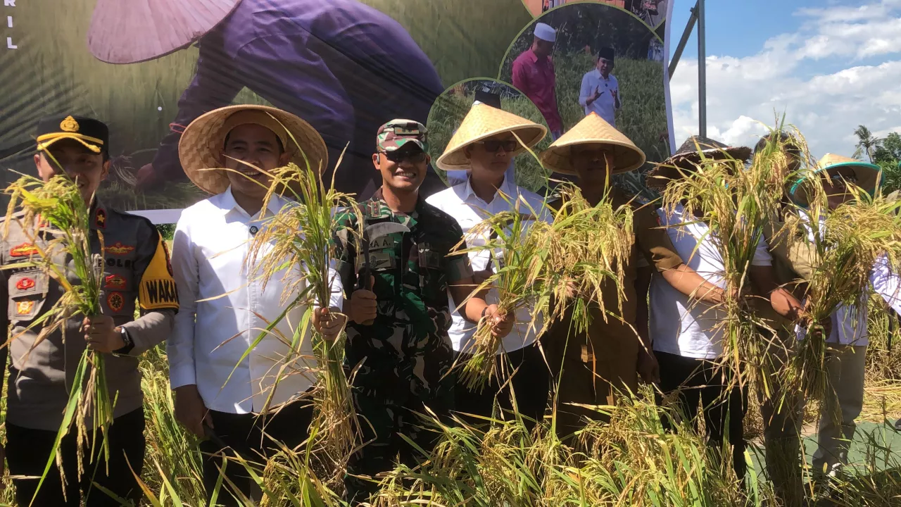 Bupati Jember Apresiasi Kinerja Bulog Jember Atas Serapan Gabah Petani