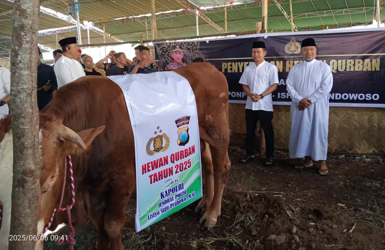 Ponpes Al Ishlah Bondowoso Gelar Kurban Terbesar, Presiden dan Kapolri Turut Berkurban