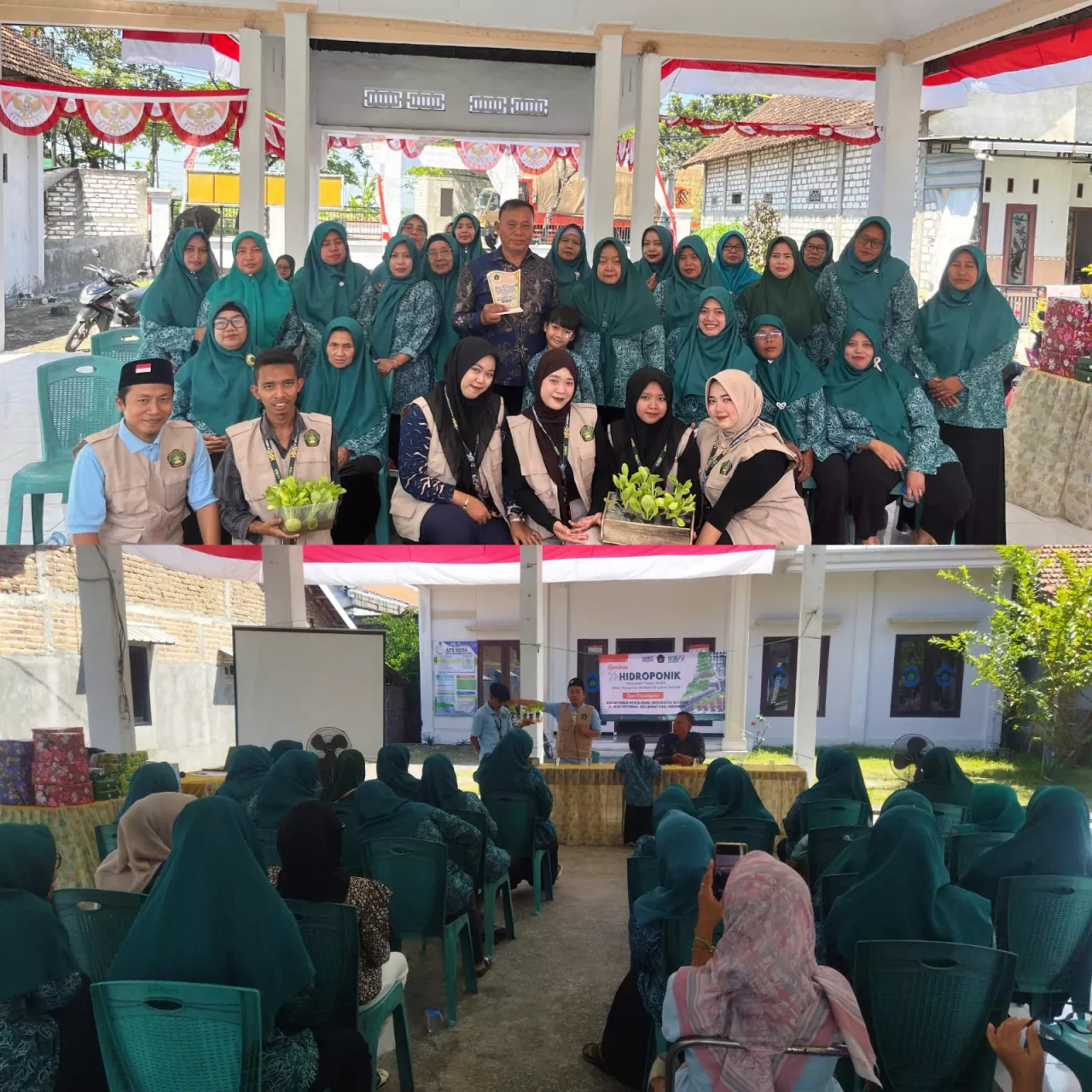 Mahasiswa KKN Billfath Lamongan Dorong Inovasi Pertanian di Desa Tritunggal