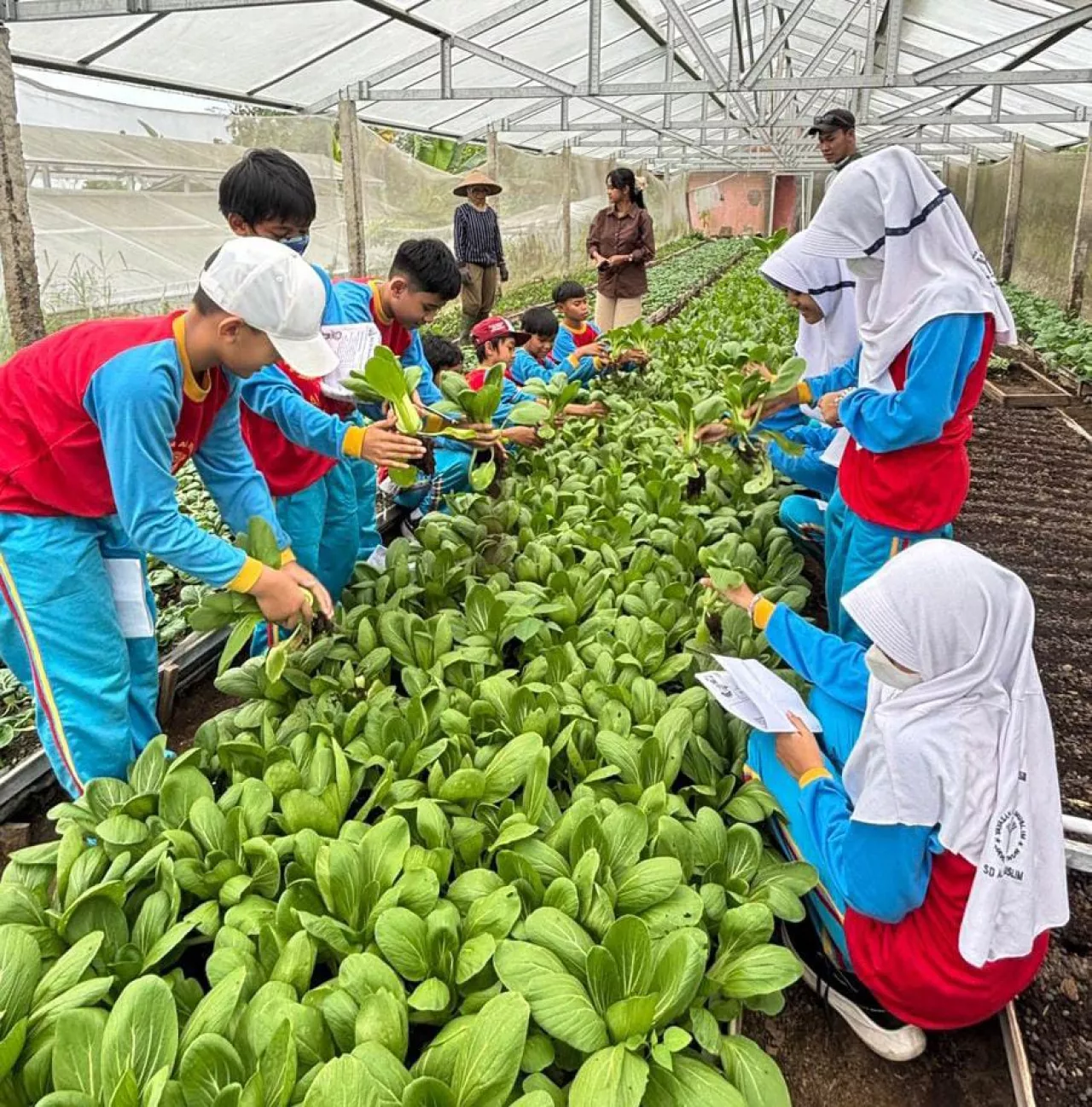 SD Al Muslim Bentuk Generasi “Eco Guardian” Lewat Outing Class di Kaliandra