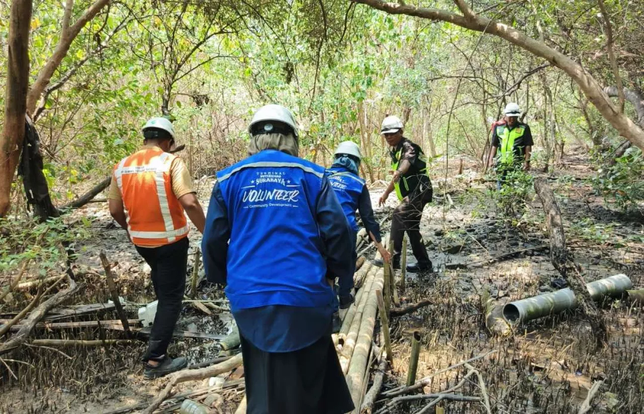 TPS Perkuat Komitmen ESG melalui Pelestarian Ekosistem Mangrove Sejak 2010