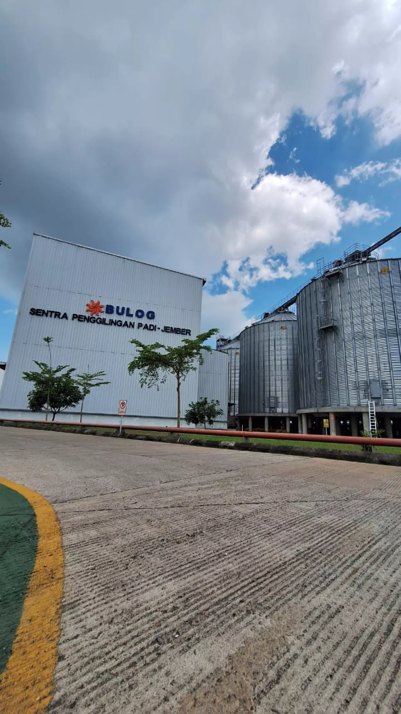 Memasuki Panen Gadu Bulog Jember Tetap Siaga Serap Gabah Petani