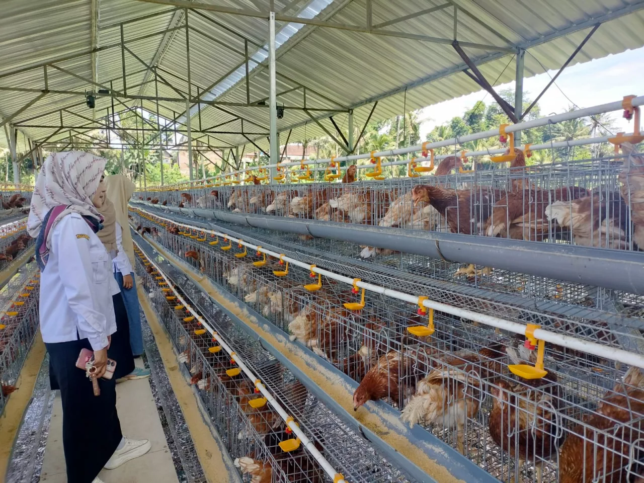 Kades Brongkal Kunjungi Unit Usaha Baru BUMDes Mulyo Makmur, Penguatan Ketahanan Pangan Desa