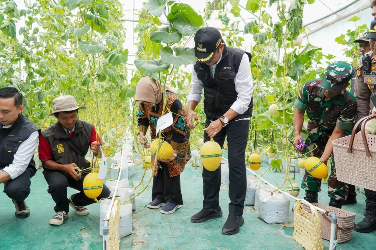 Pemkab Lamongan Gandeng Petani Milenial dalam Mendukung Ketahanan Pangan