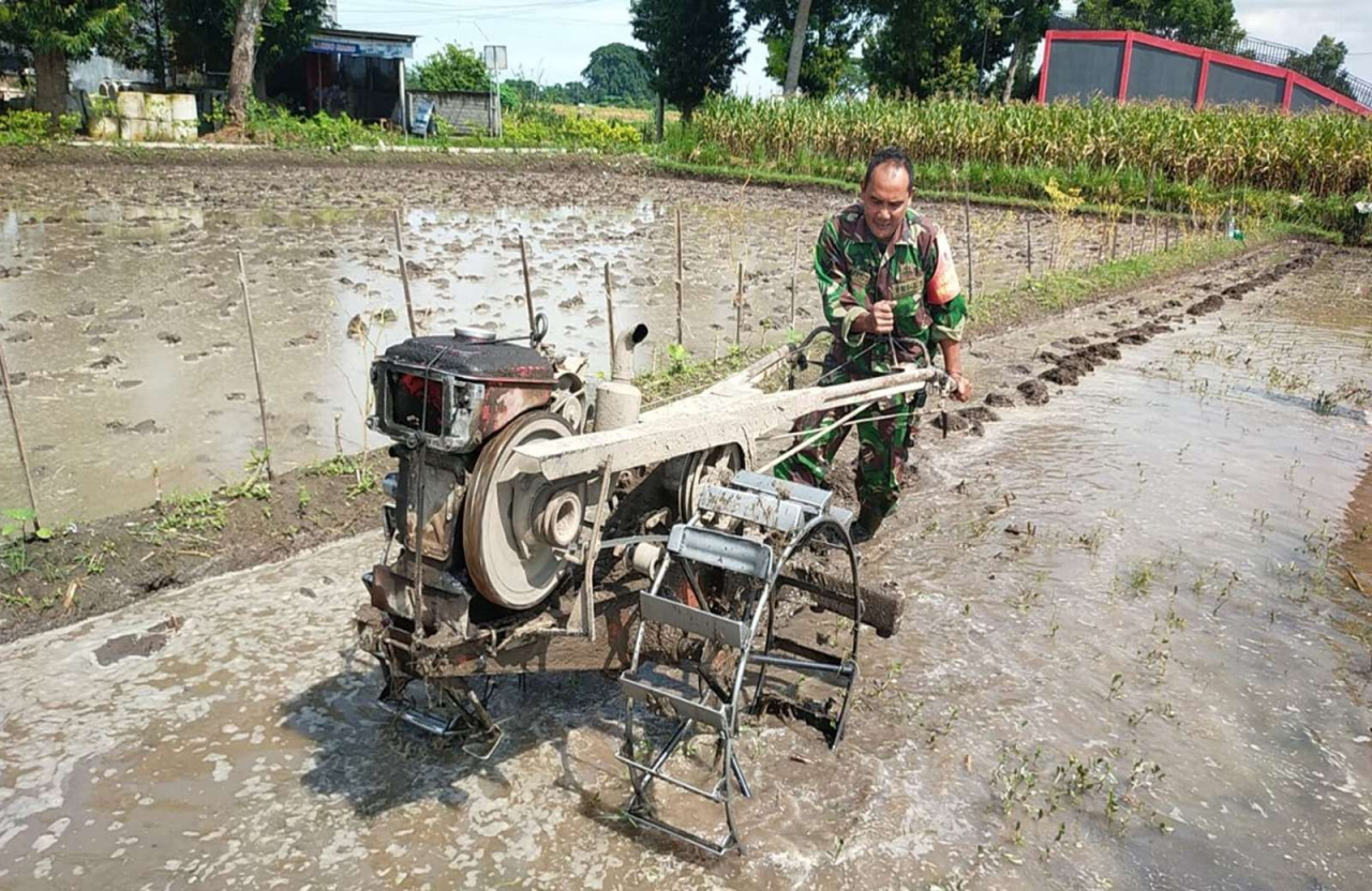 Turun Ke Sawah, Babinsa Bendogerit Kota Blitar Bantu Siapkan Lahan Petani