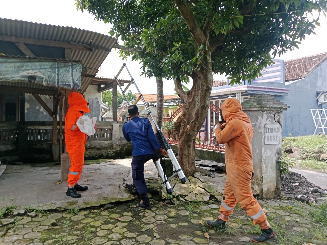 Petugas Damkar Krian Evakuasi Sarang Tawon Vespa di Desa Wonokupang