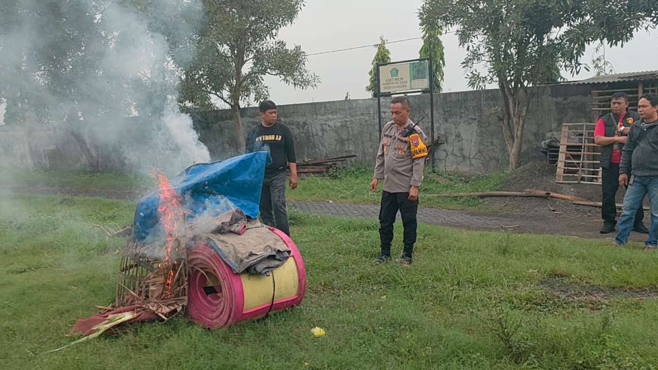 Penggerebekan Sabung Ayam di Desa Sedenganmijen Tak Temukan Pelaku
