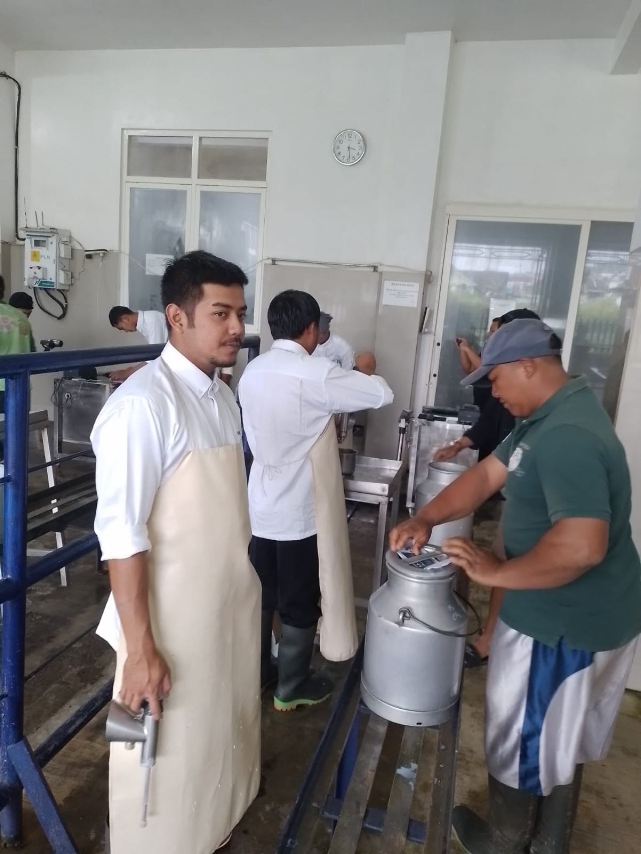 Kegiatan penyetoran susu di Koperasi SAE Pujon, Batu